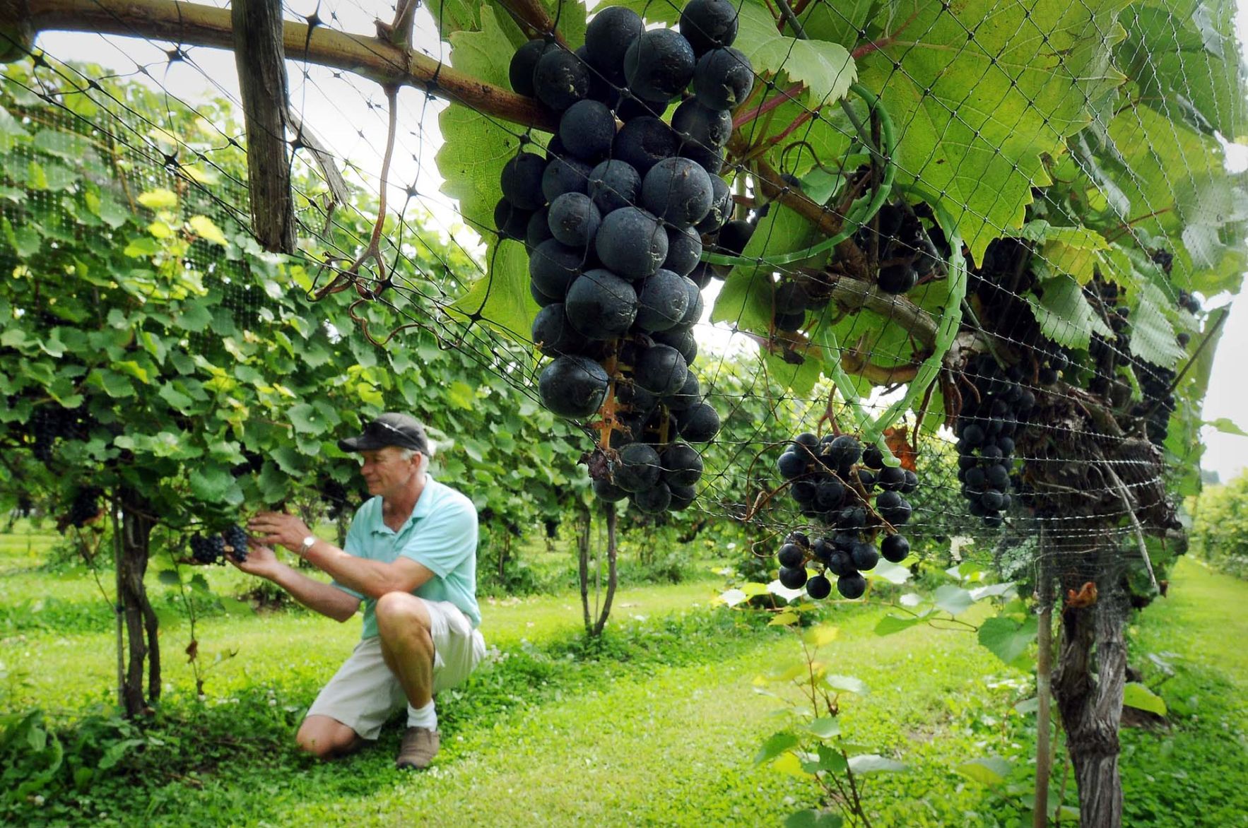 Next Chapter Winery